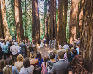 roaring_camp_wedding_blake_weber_photography_cathedral_grove_old_05 Roaring Camp