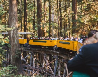 Roaring Camp