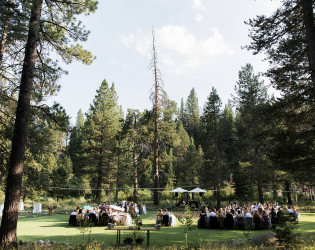 741196-35536-l-67123aBy7YmY Dancing Pines