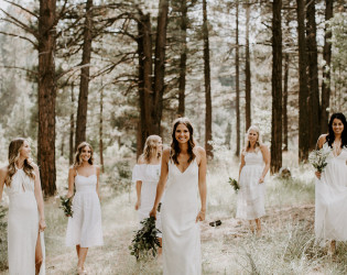 741200-35536-l-3AvA2a9 Dancing Pines