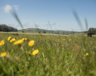 007-FarmlandForeverEvent05192018paigegreen The Haven at Tomales