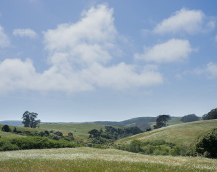 261-FarmlandForeverEvent05192018paigegreen The Haven at Tomales