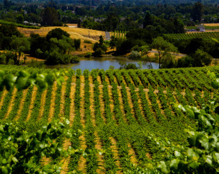 Notre Vue Estate Winery