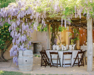 wedding-nature-118 Roblar Winery