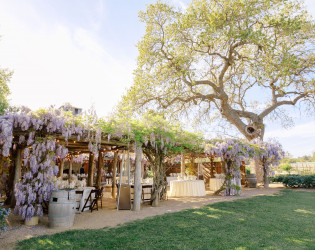 wedding-nature-129 Roblar Winery