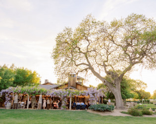 wedding-nature-144 Roblar Winery