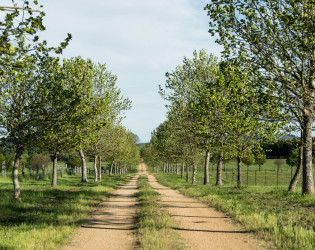 TheVenueReport-MonaFarms-022 Mona Farm