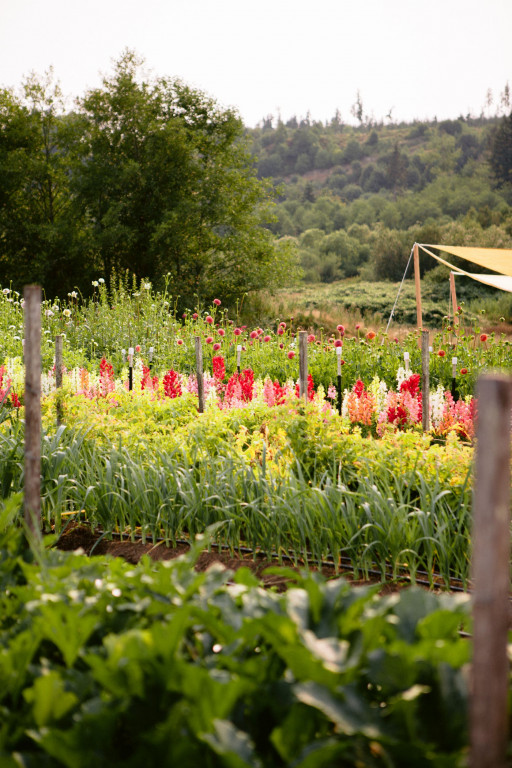 White Lotus Farm & Inn Venue Report