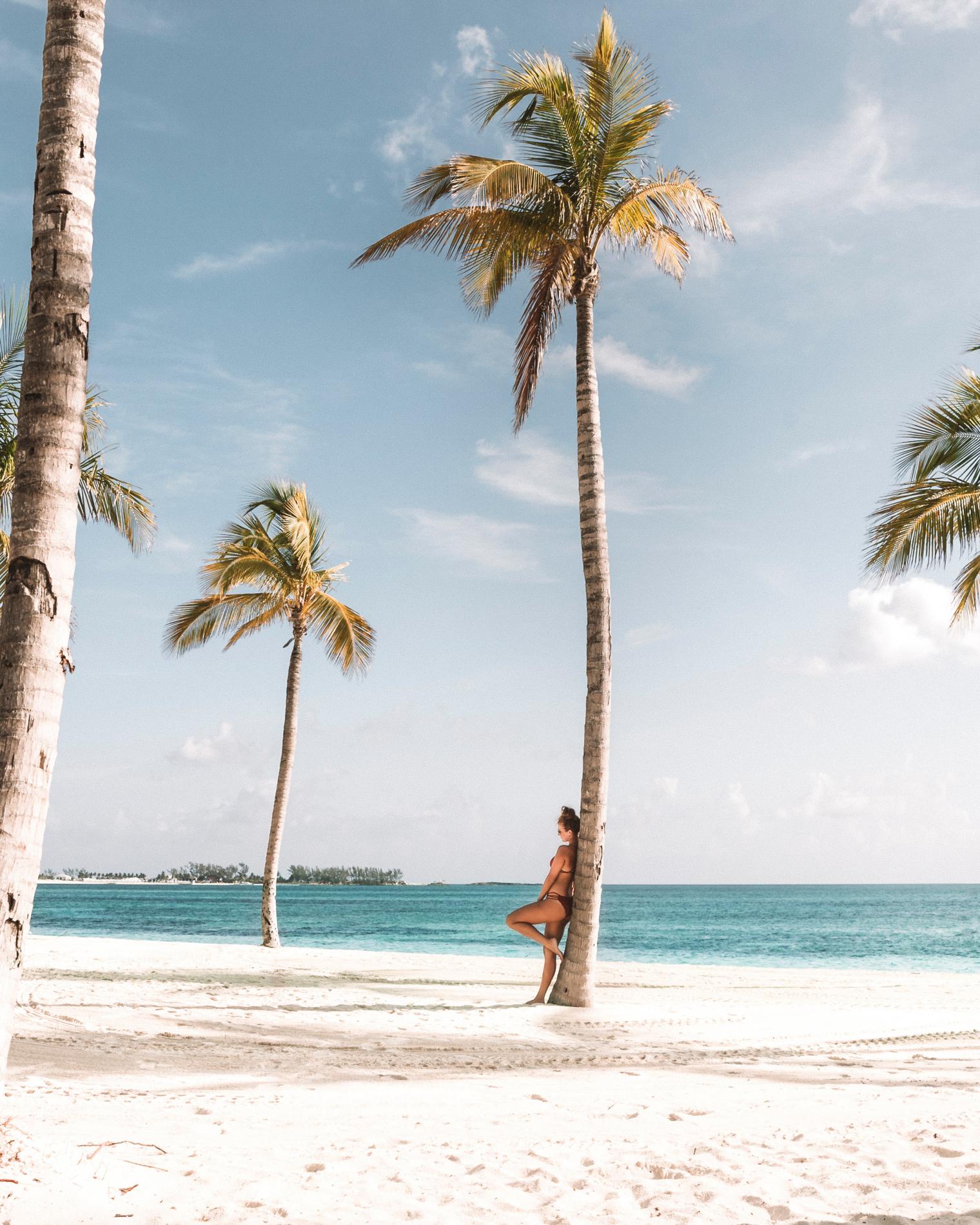 https://d3emaq2p21aram.cloudfront.net/media/cache/venue_roundup_single_image_flex/uploads/%200Regular_Roundup/2019/2-February/SLSBahaMar/Nassau-UNSPLASH-JaredRice-01.jpg