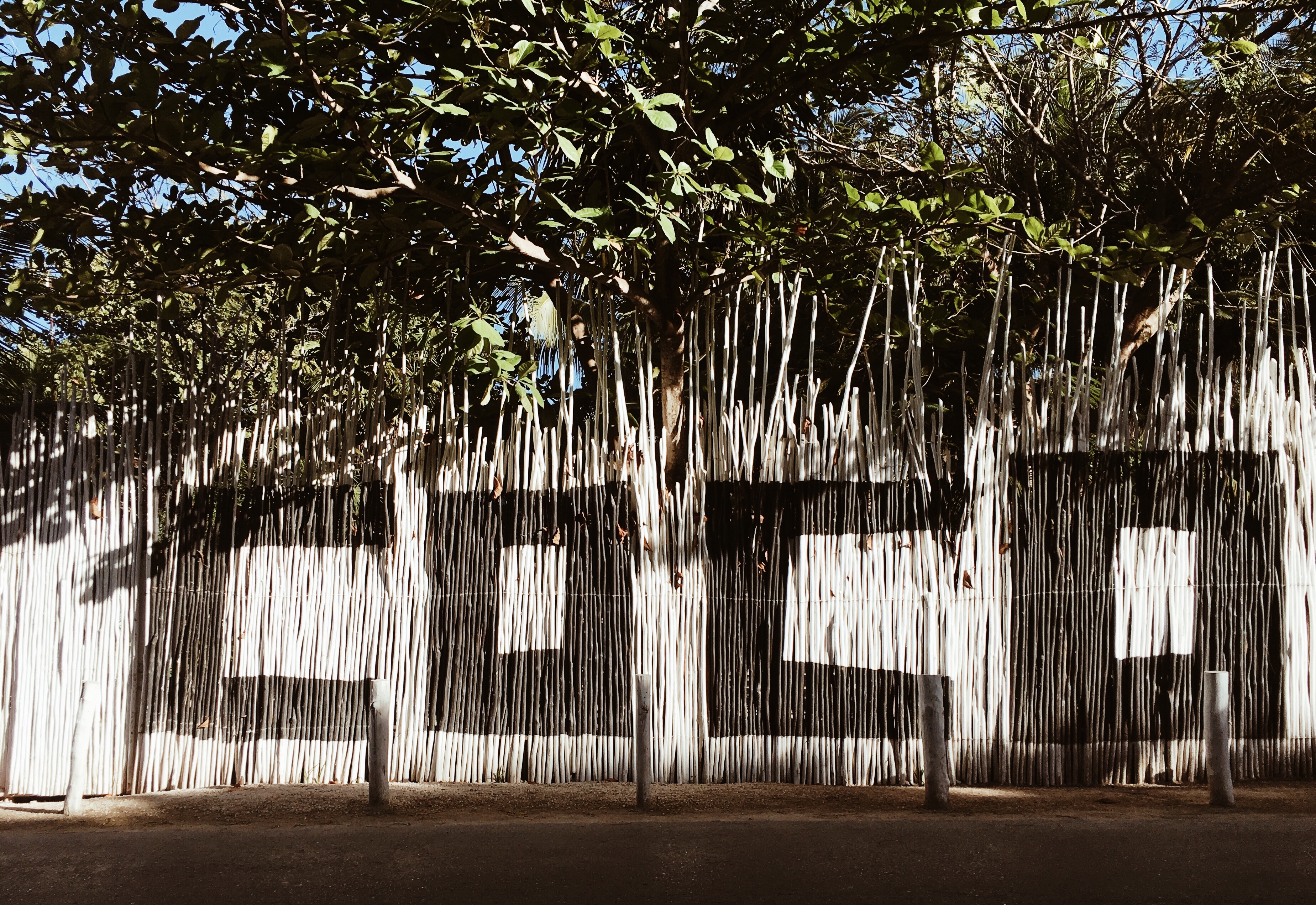 Traveling To Tulum? Make The Most Out Of Your Trip By Copy And Pasting This Itinerary 