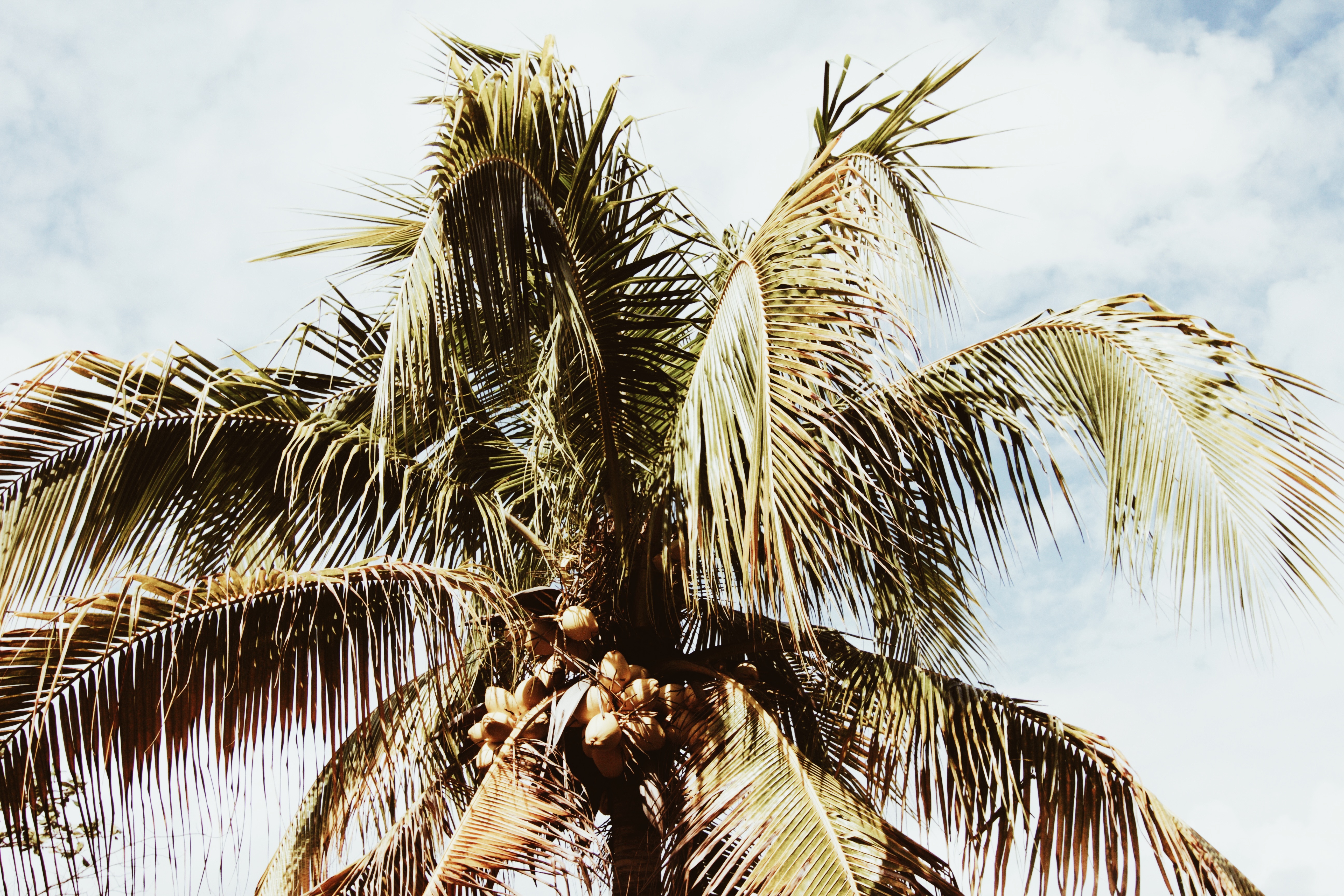 Traveling To Tulum? Make The Most Out Of Your Trip By Copy And Pasting This Itinerary 