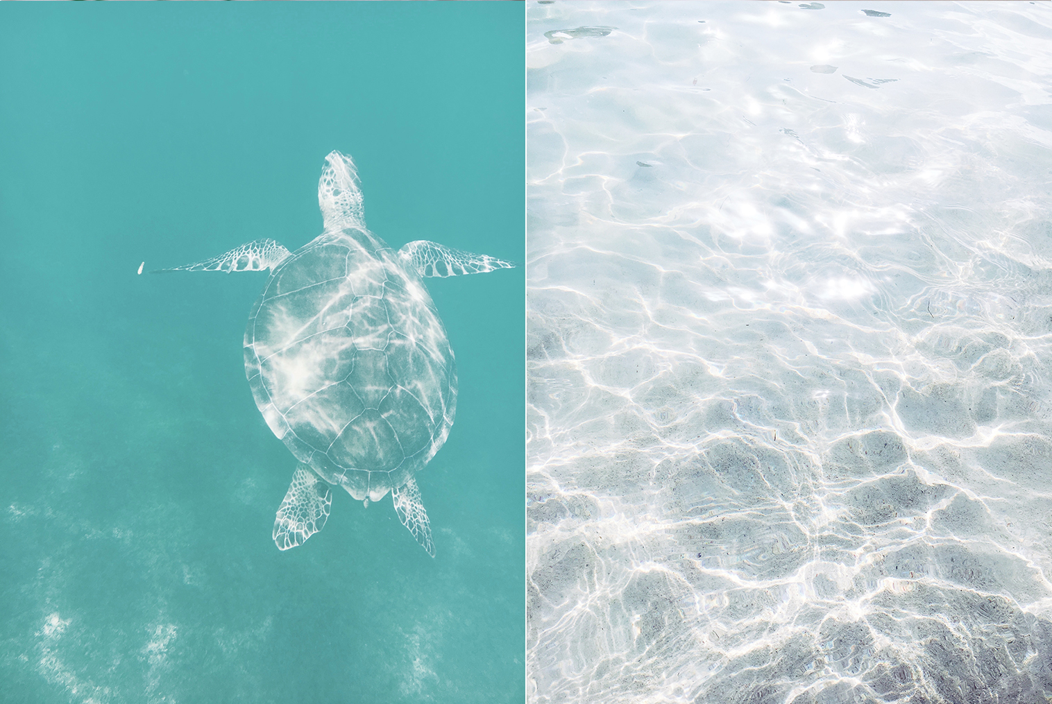 Traveling To Tulum? Make The Most Out Of Your Trip By Copy And Pasting This Itinerary