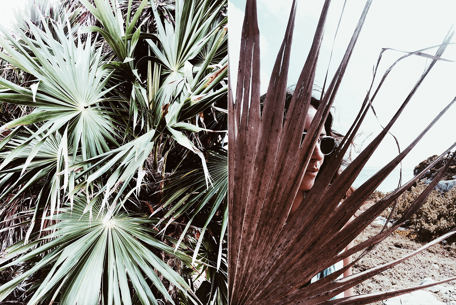 Traveling To Tulum? Make The Most Out Of Your Trip By Copy And Pasting This Itinerary