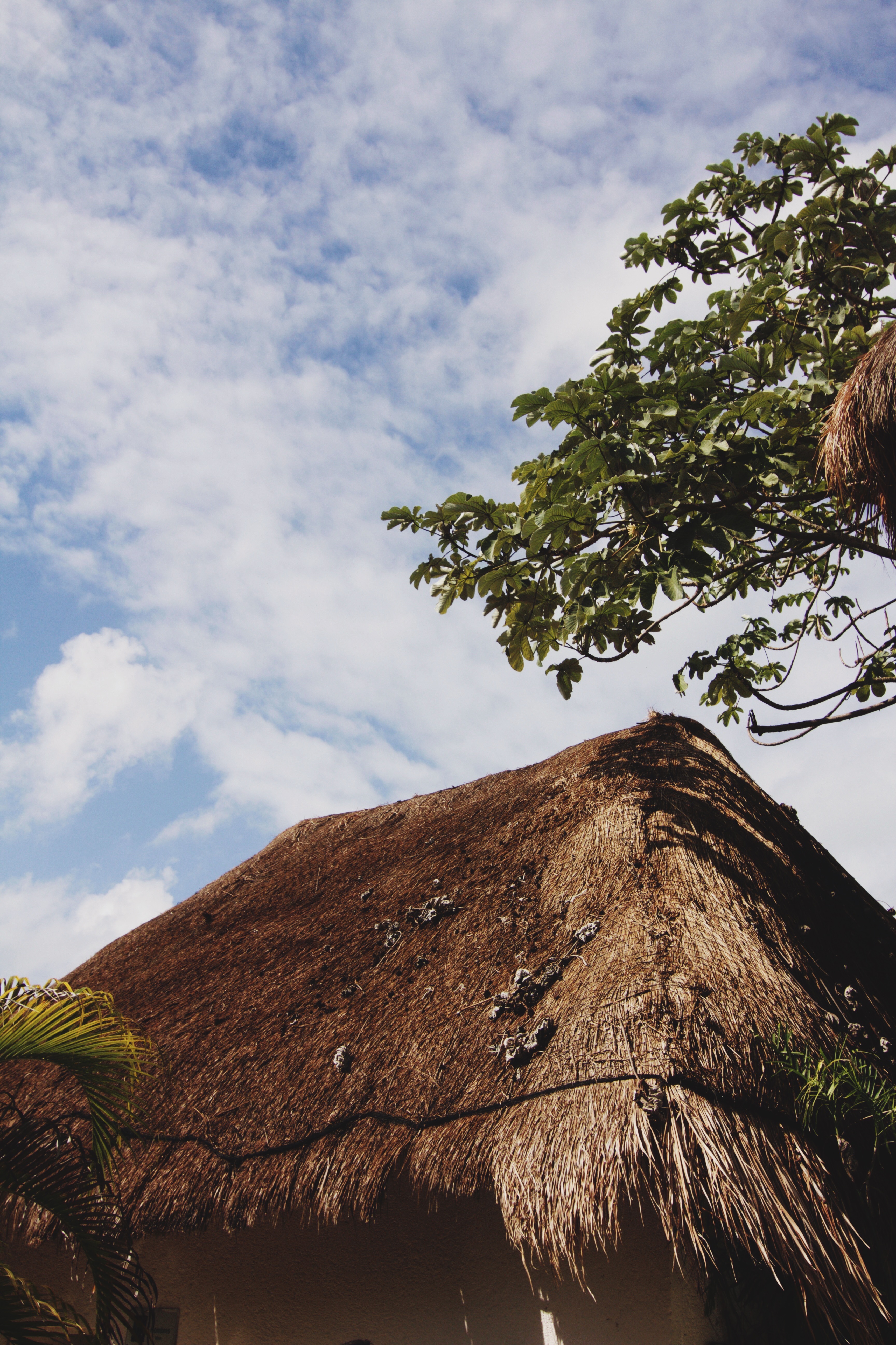 Traveling To Tulum? Make The Most Out Of Your Trip By Copy And Pasting This Itinerary 