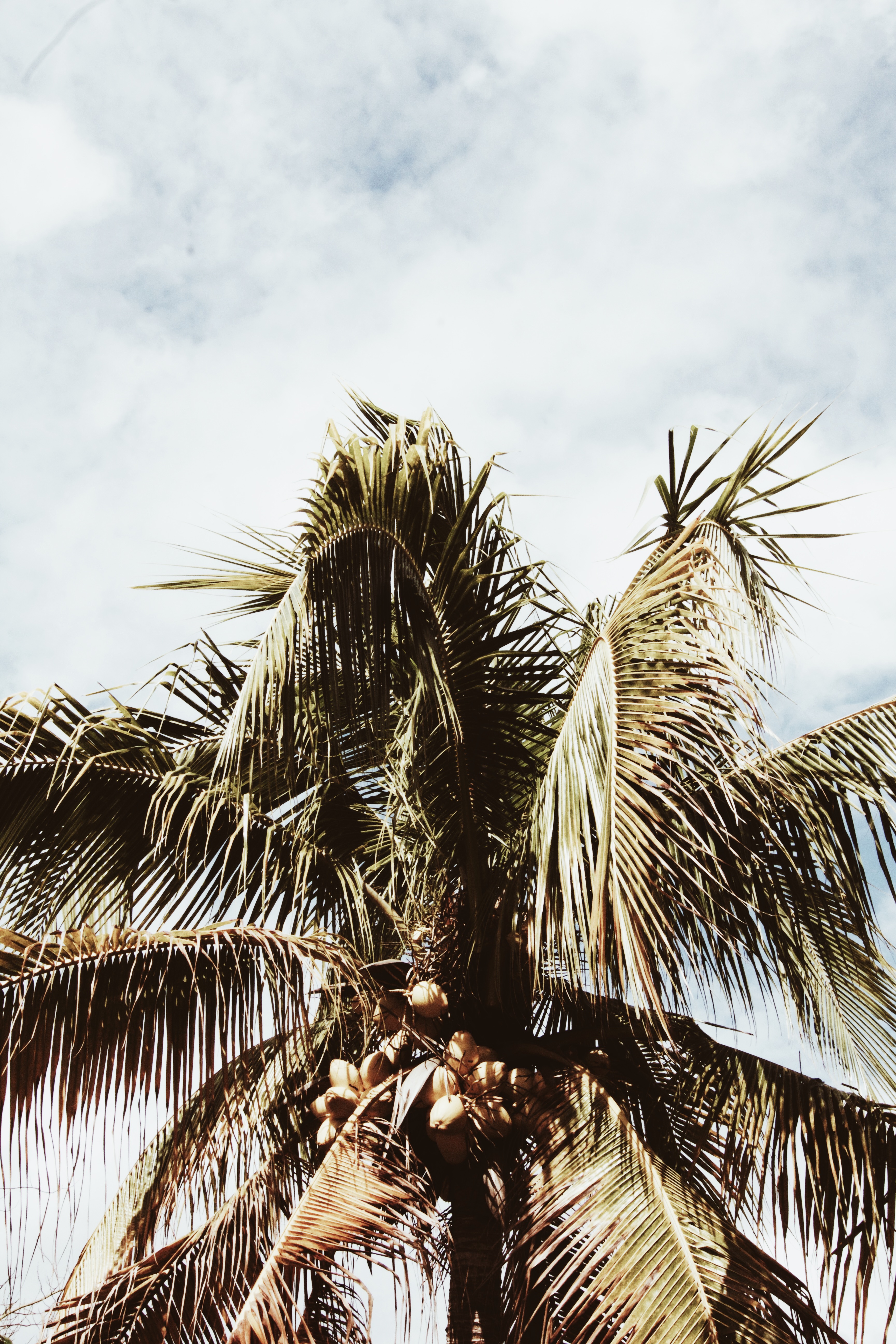 The Ultimate Guide to Tulum In Four Days