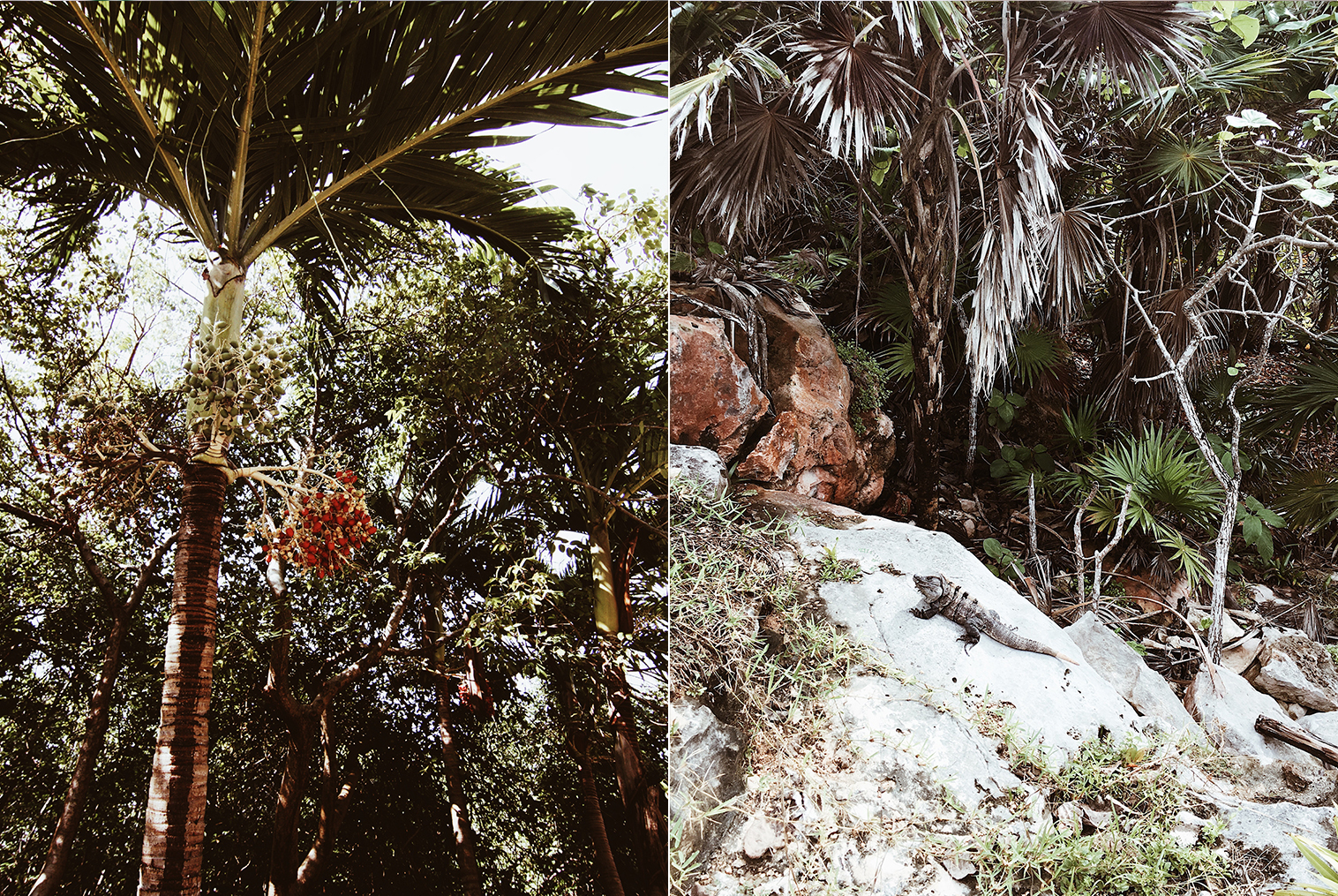 Traveling To Tulum? Make The Most Out Of Your Trip By Copy And Pasting This Itinerary
