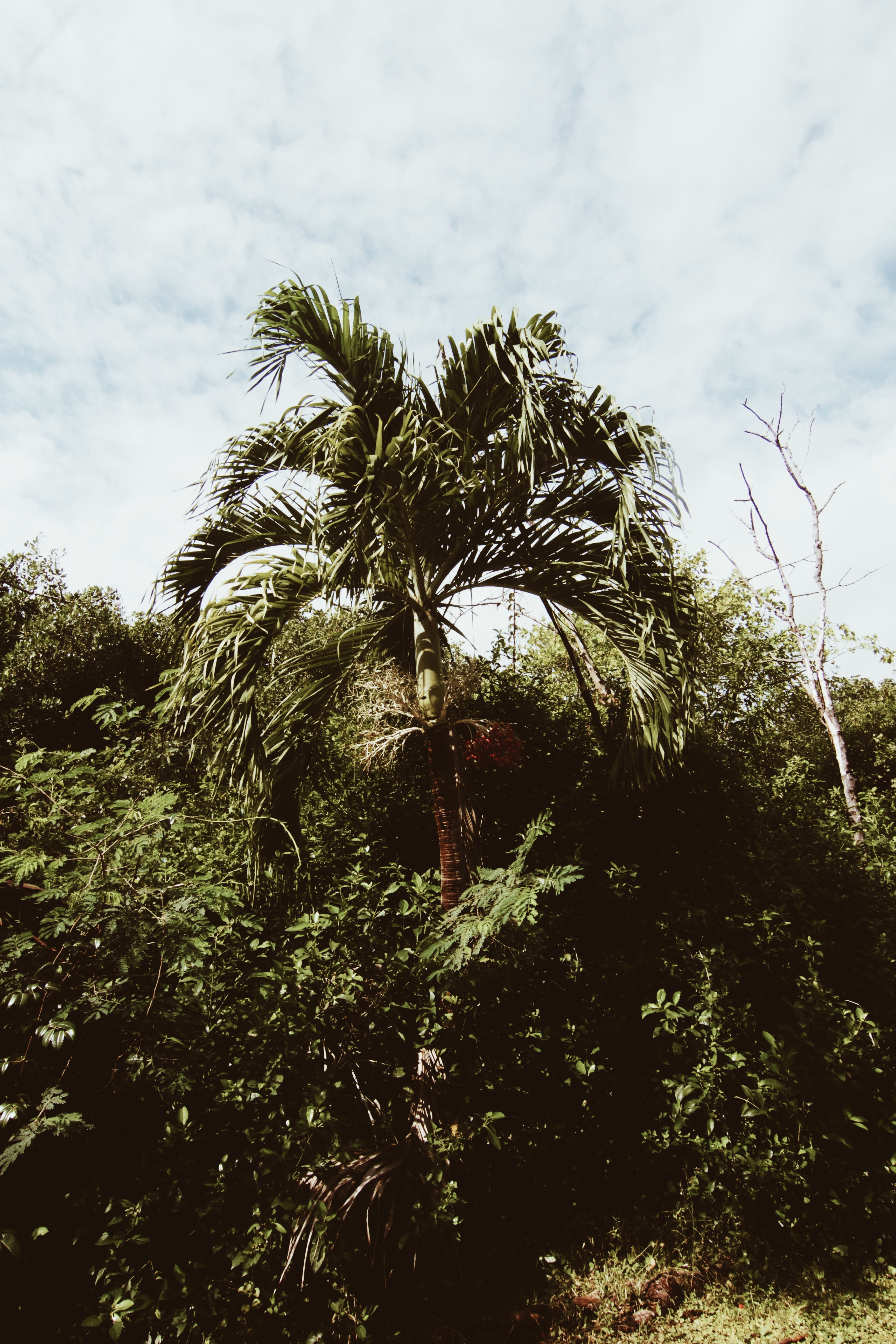 Traveling To Tulum? Make The Most Out Of Your Trip By Copy And Pasting This Itinerary 