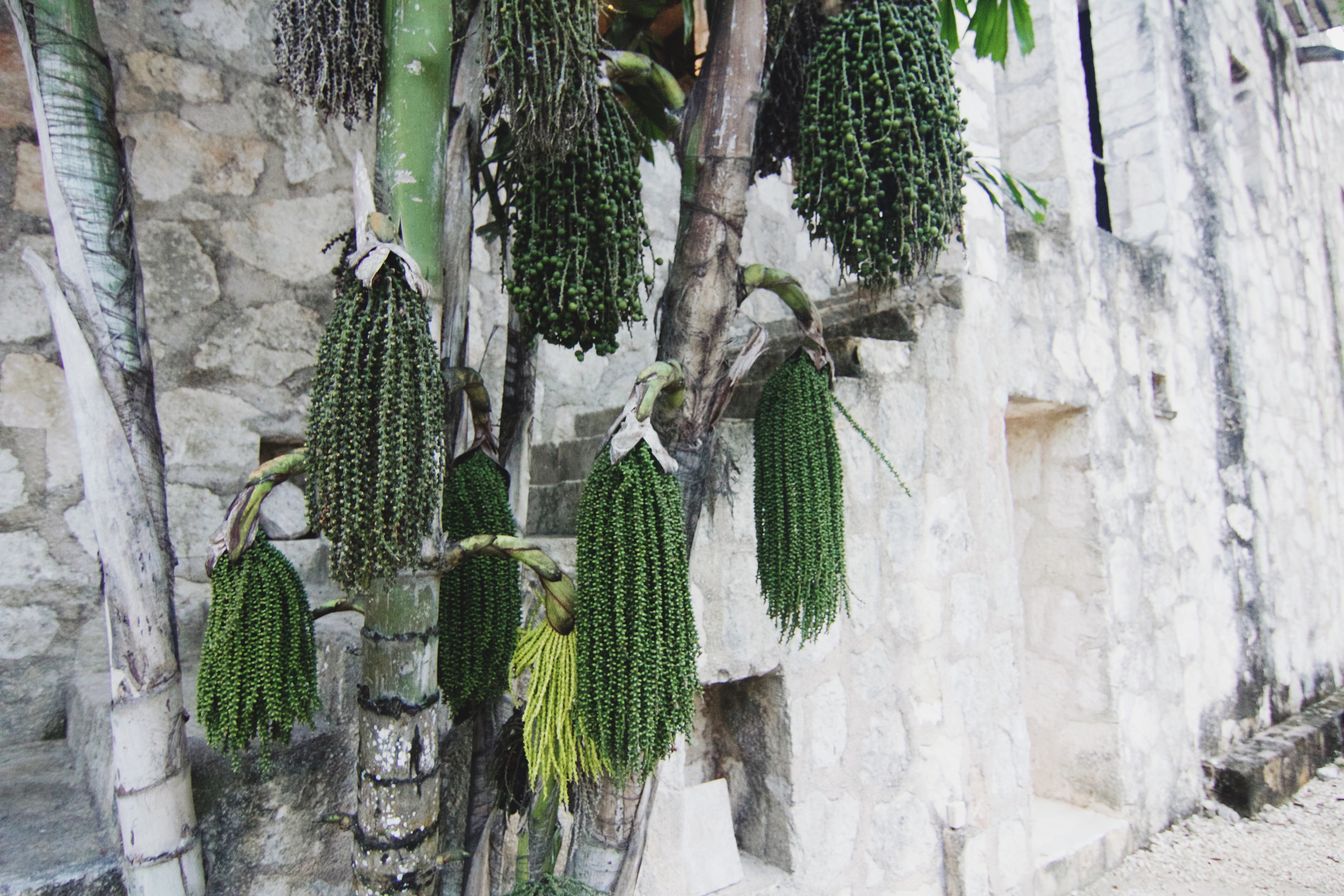 Traveling To Tulum? Make The Most Out Of Your Trip By Copy And Pasting This Itinerary 