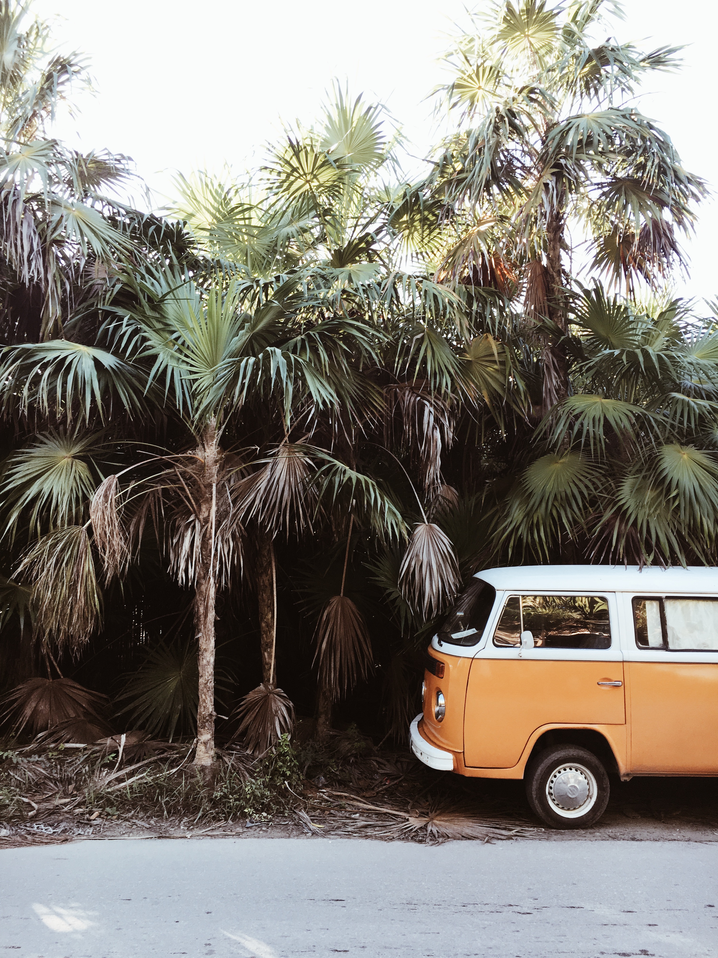 Traveling To Tulum? Make The Most Out Of Your Trip By Copy And Pasting This Itinerary 