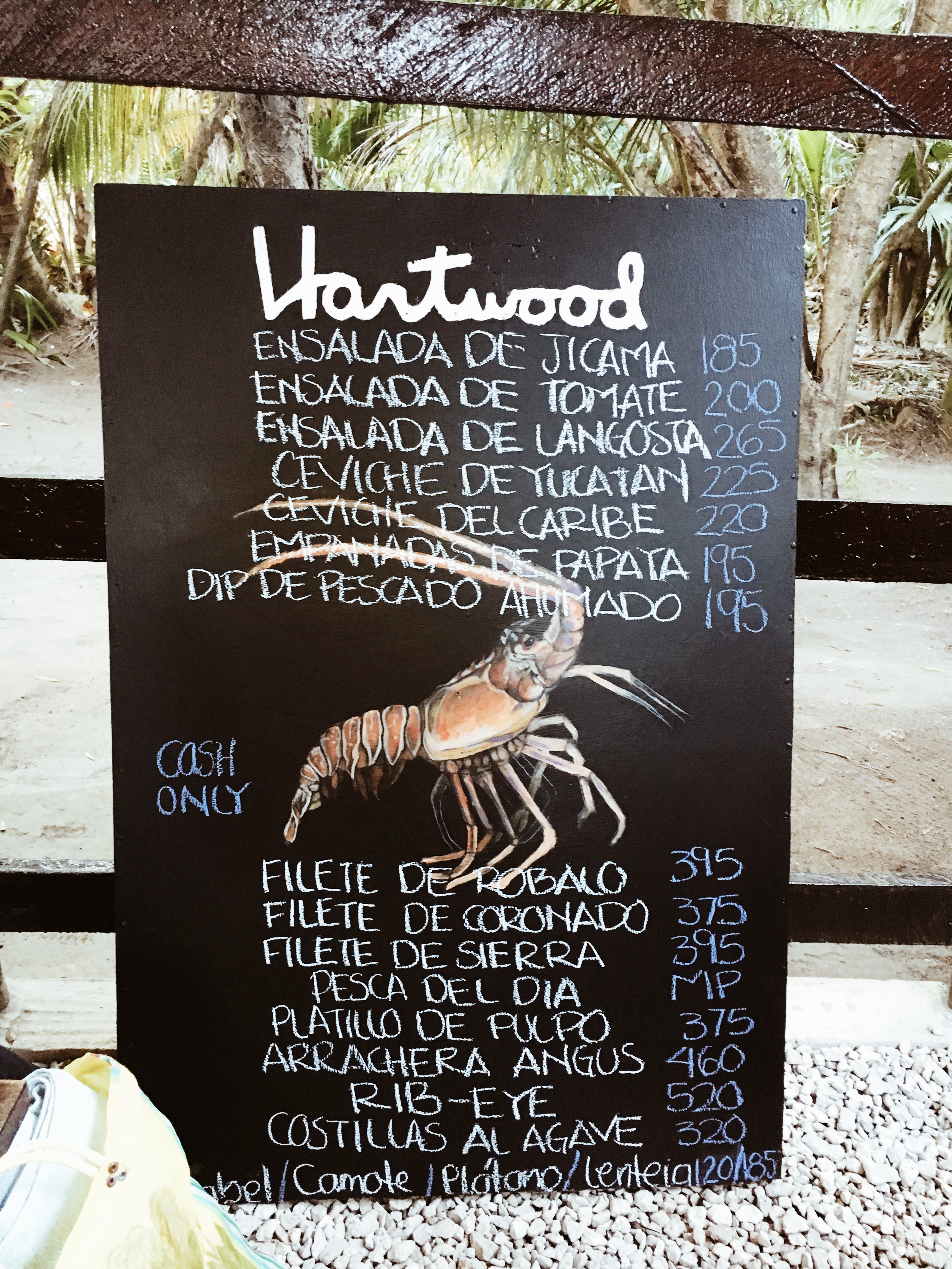 Traveling To Tulum? Make The Most Out Of Your Trip By Copy And Pasting This Itinerary 
