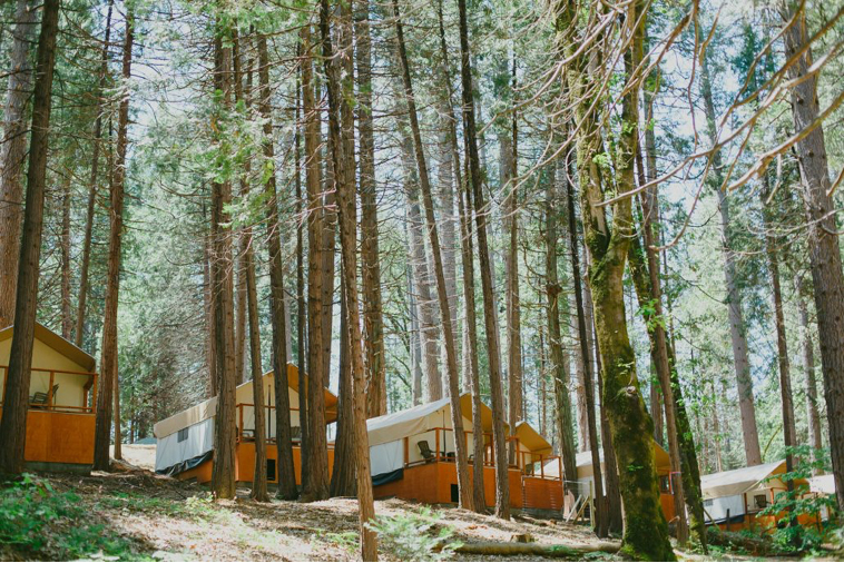 Trees Inn Town Campground in Nevada City, CA
