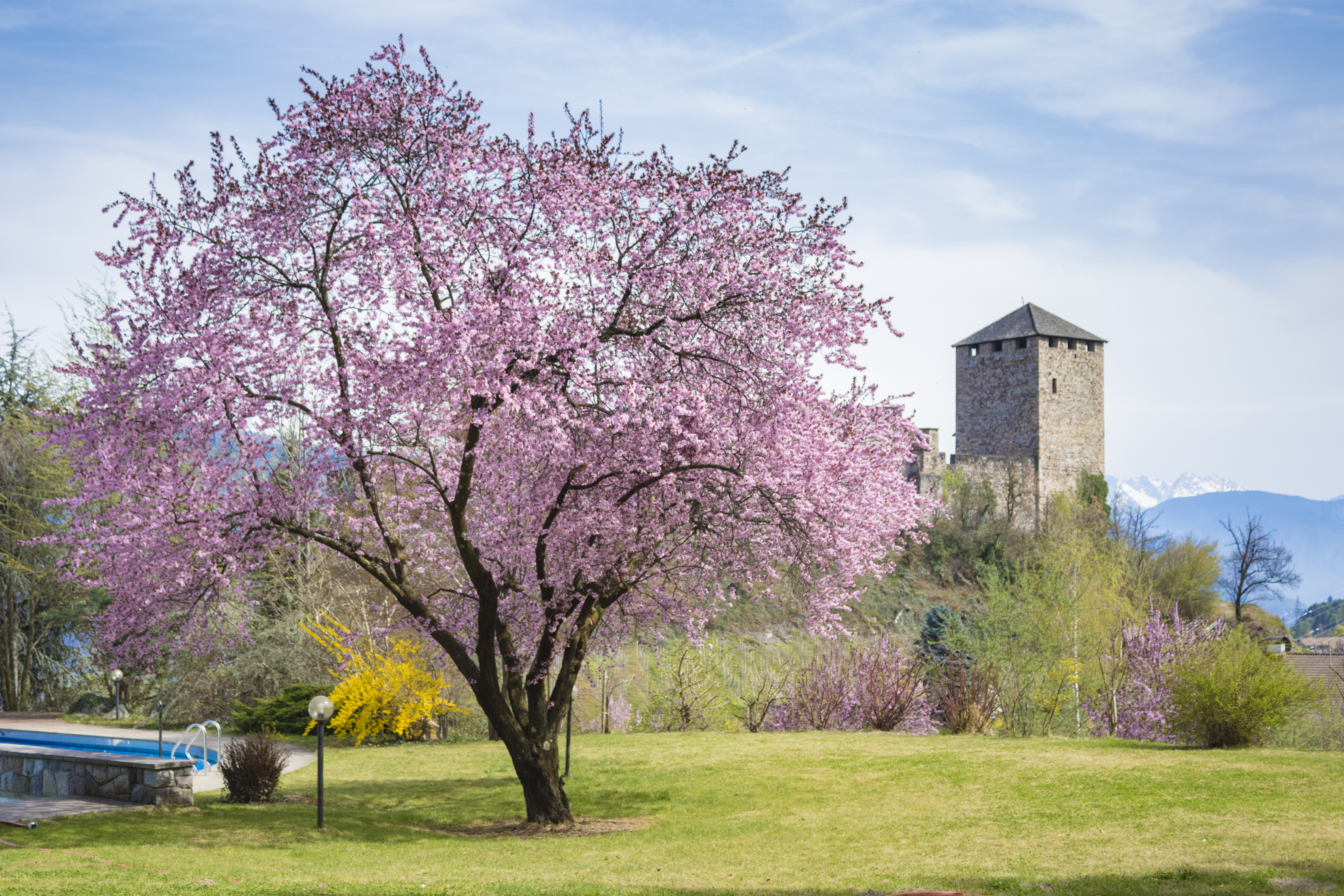 Waldof Italy 