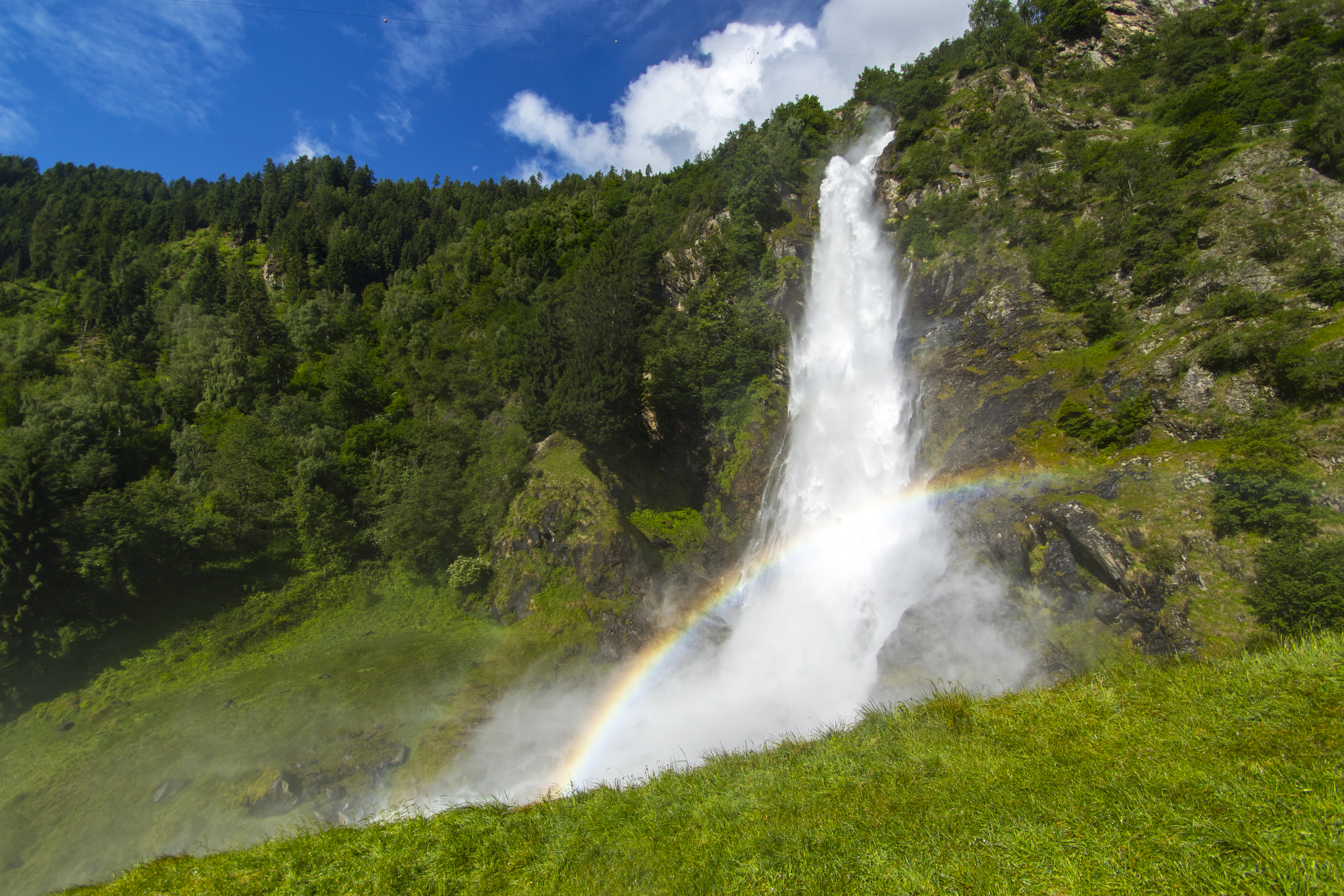 Waldof Italy 