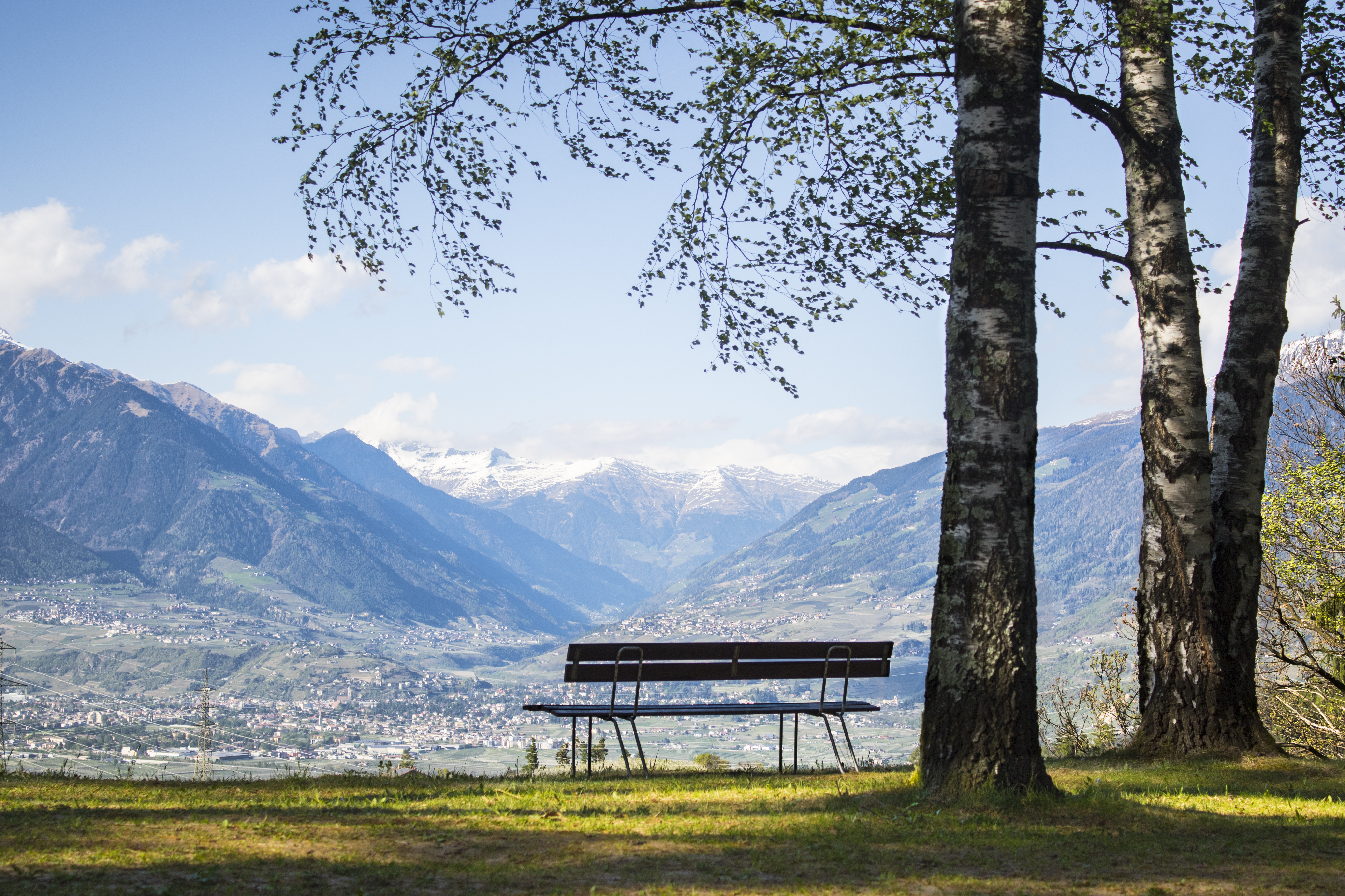 Waldof Italy 