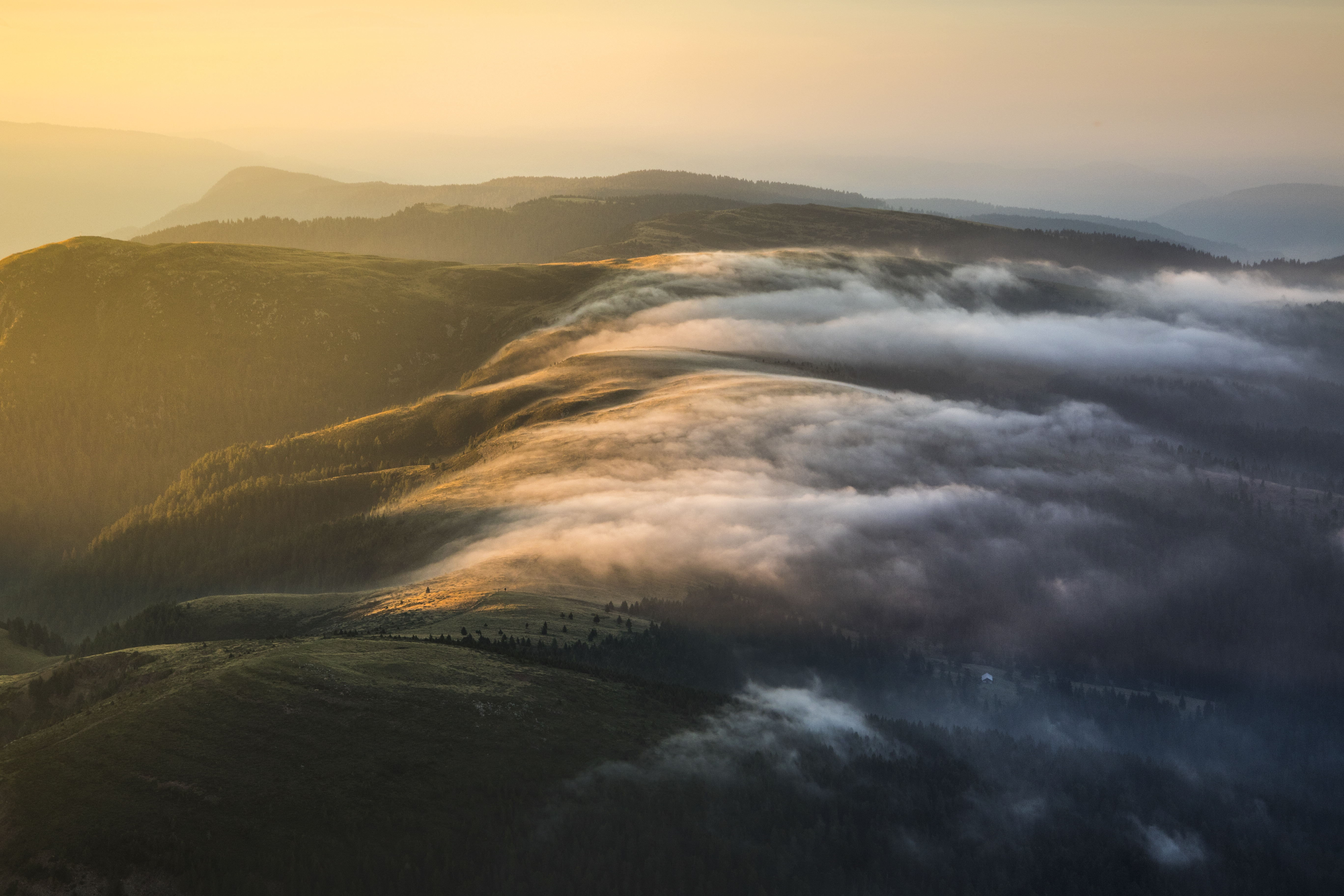 Discover South Tyrol With The Ultimate Local's Guide