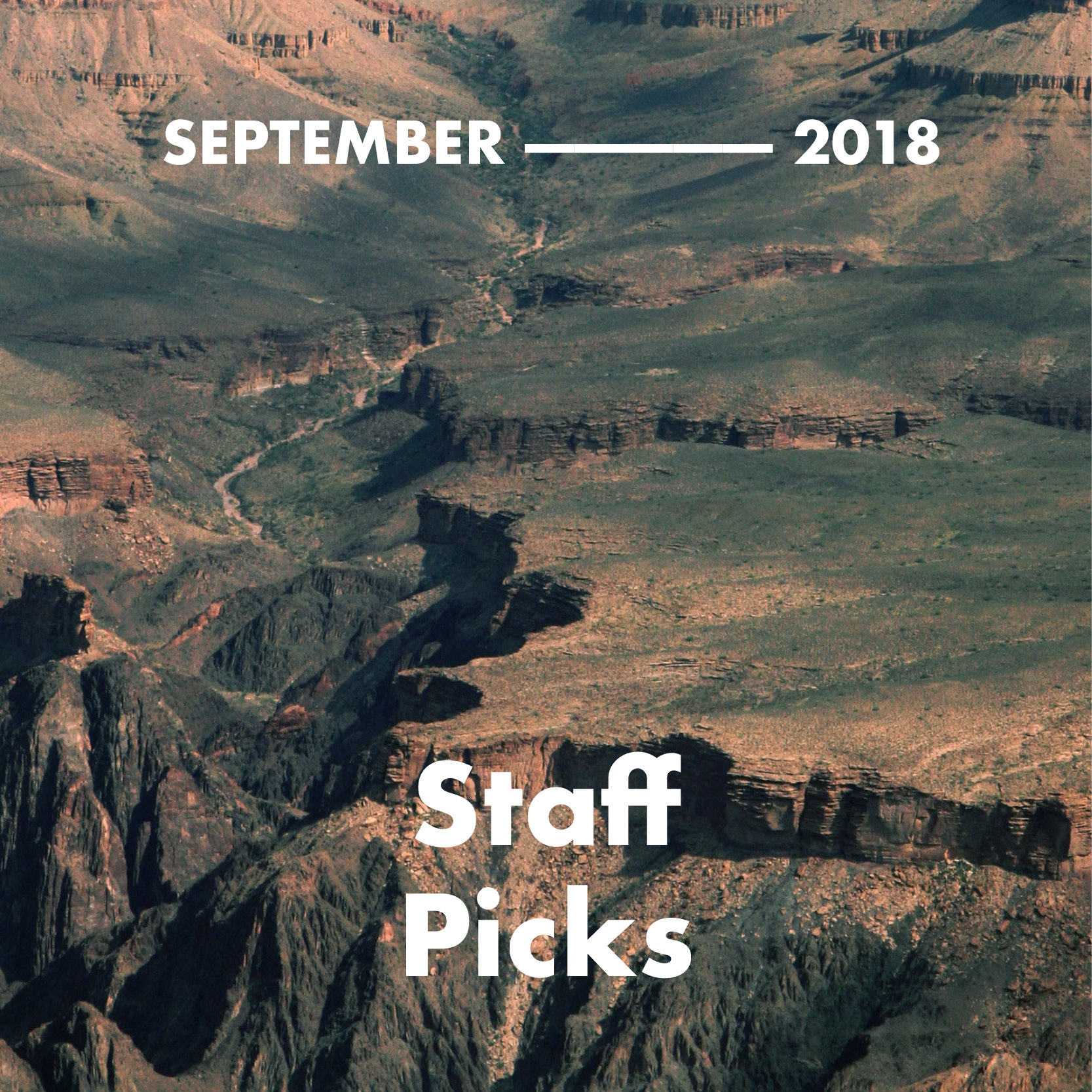 Staff Picks Playlist by The Venue Report