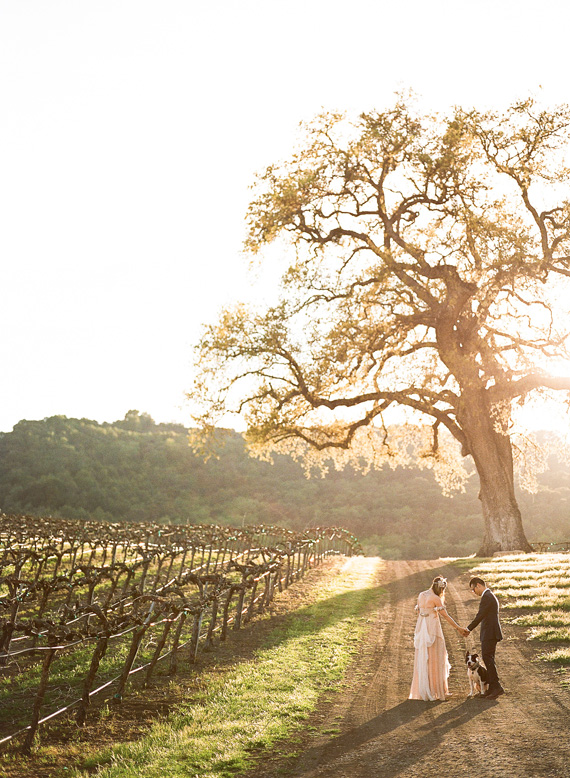 Serve guests the estate grown award winning wines