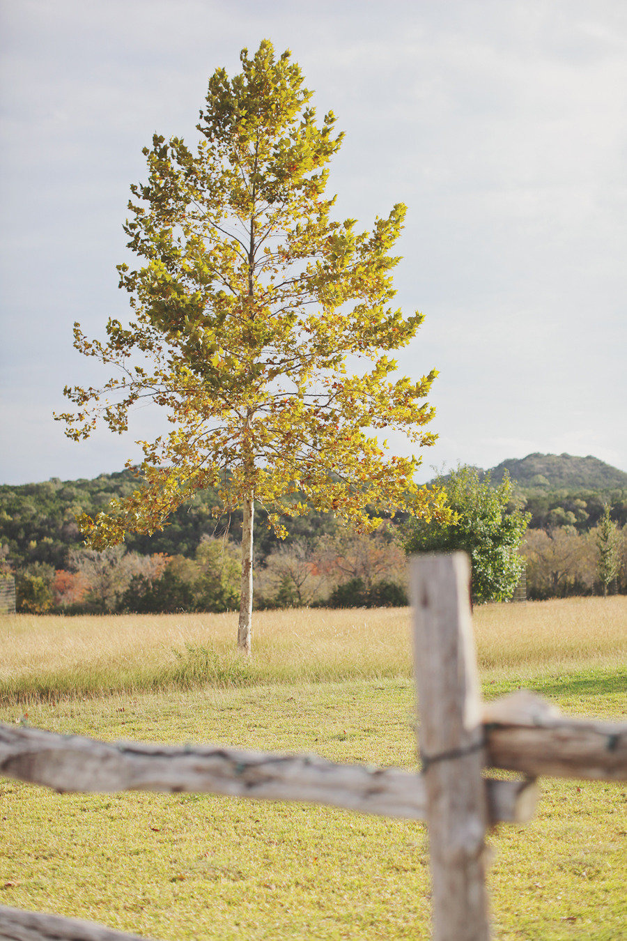 Host your event at one of the riverside locations or beautiful Oak grove with flanking fields of flowing tall grass are perfect for photographs.