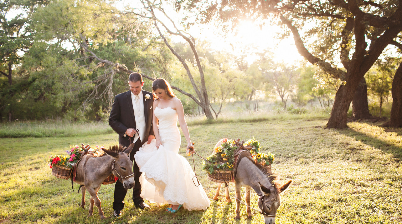 The miniature donkeys that live on the ranch are used in numerous celebrations and special events.
