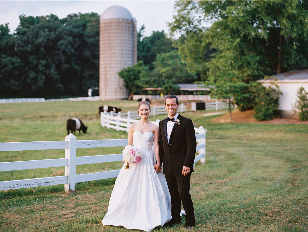 Fearrington's iconic Belted Galloway Cows