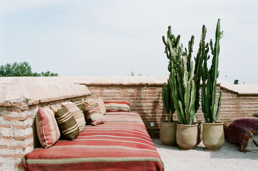 Succulents + local textiles