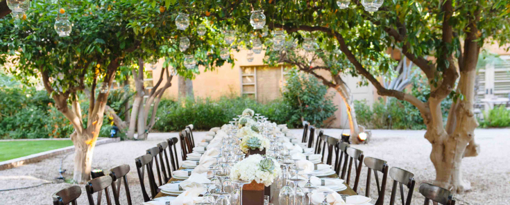 Orange Grove