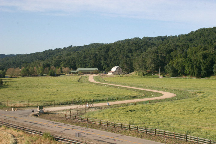 Driveway leading to the Barn and Tasting Room