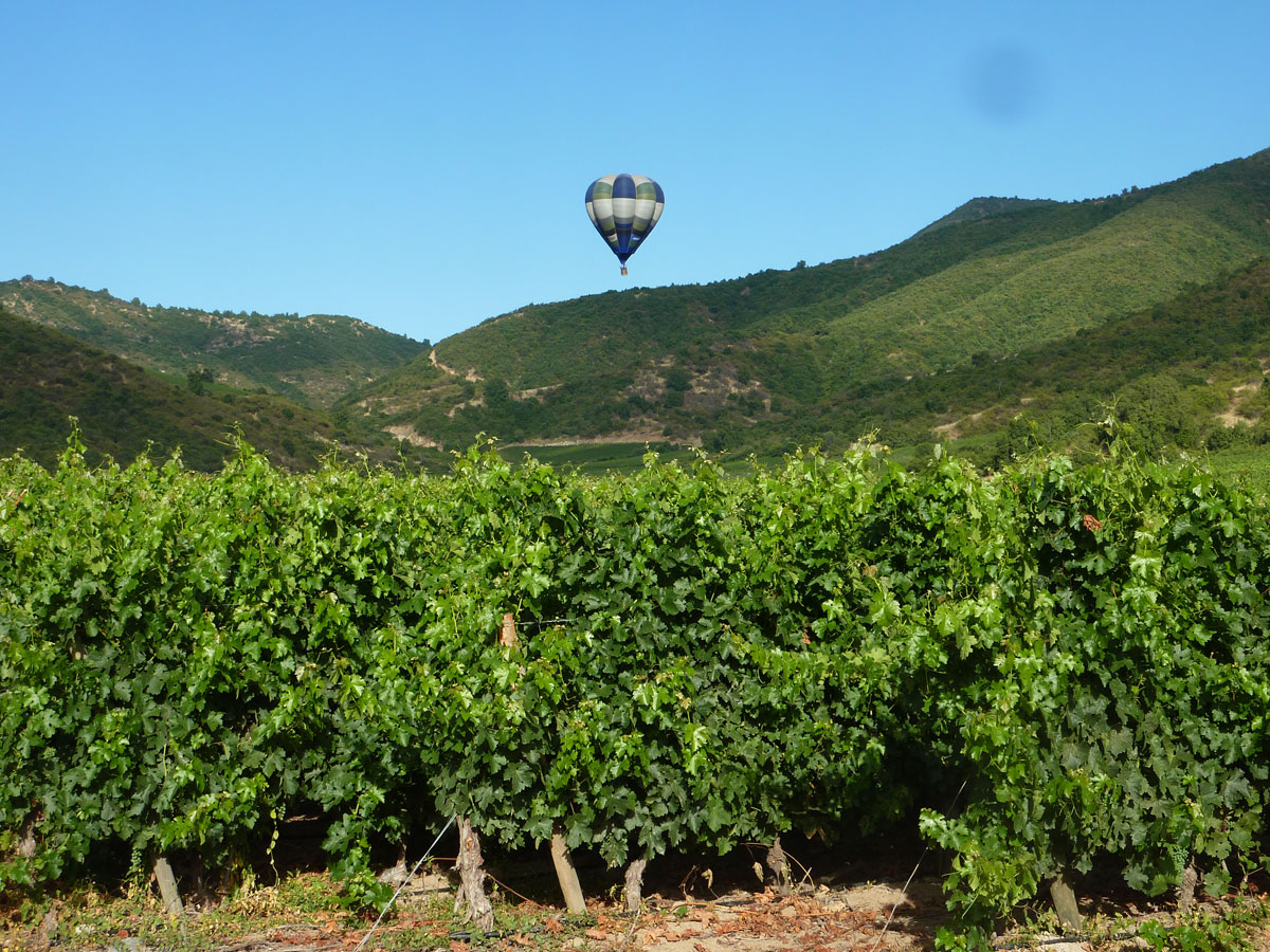 The vineyard can be seen spreading into may smaller valleys and weaving among numerous gorges and mountains. In the distance are the majestic Andes Mountains.
