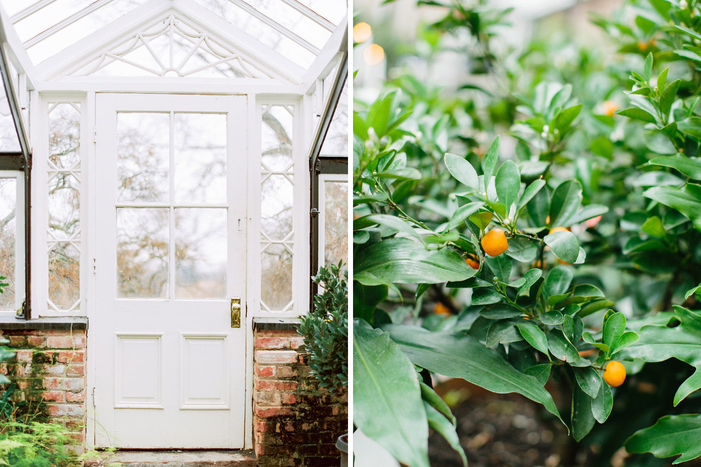 Greenhouse