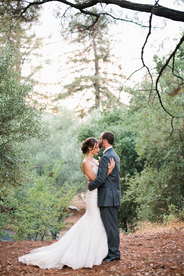 Beautiful greenery for photo backdrops.