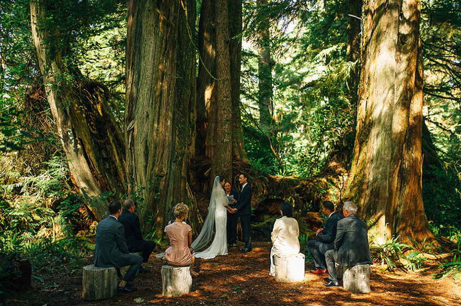 Get married in the rainforest and host your reception on the beach for the best of both worlds!