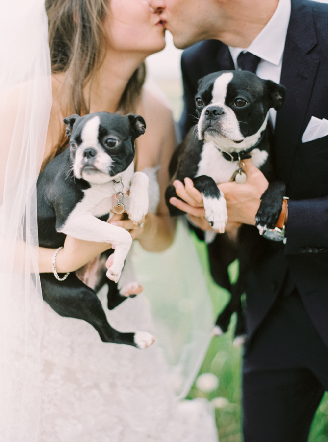 Pet Lovers