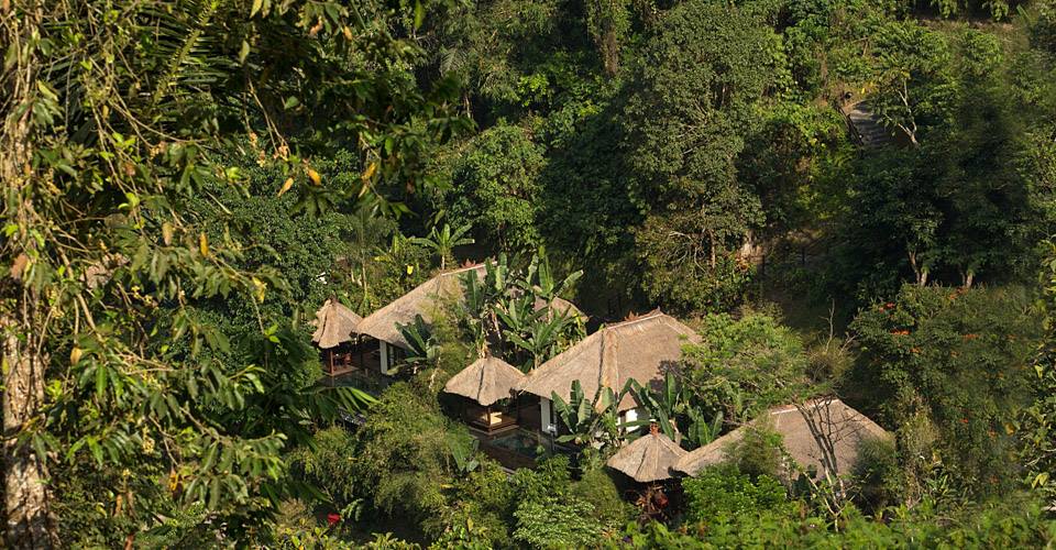 The gardens feature a variety of bamboos, flame trees and orchids creating a symbiosis of tropical life.