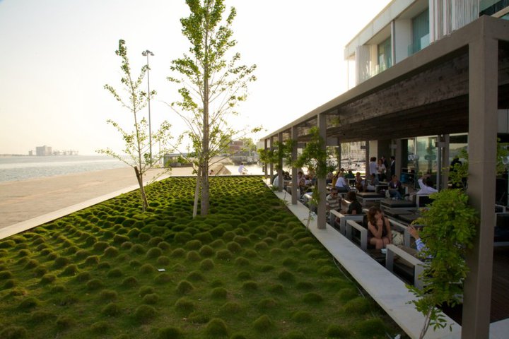 Bar 38º41'