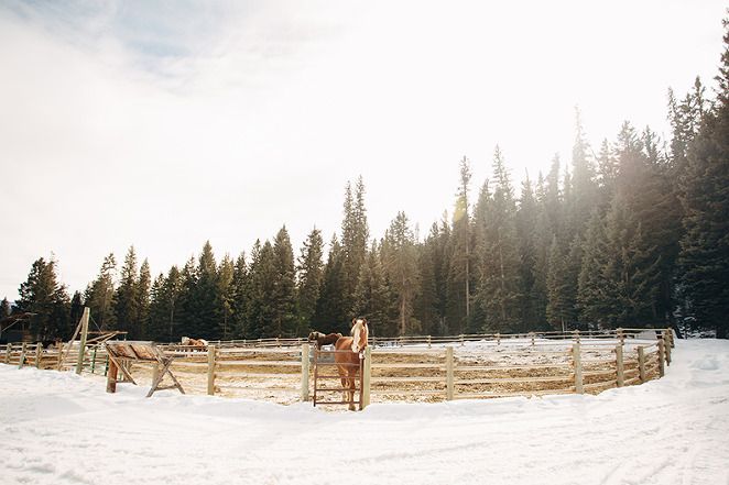 Lone Mountain Ranch is located in a naturally beautiful setting, against a mountain and surrounded by a forest with Doug Fir trees and a meandering stream runs through the property.