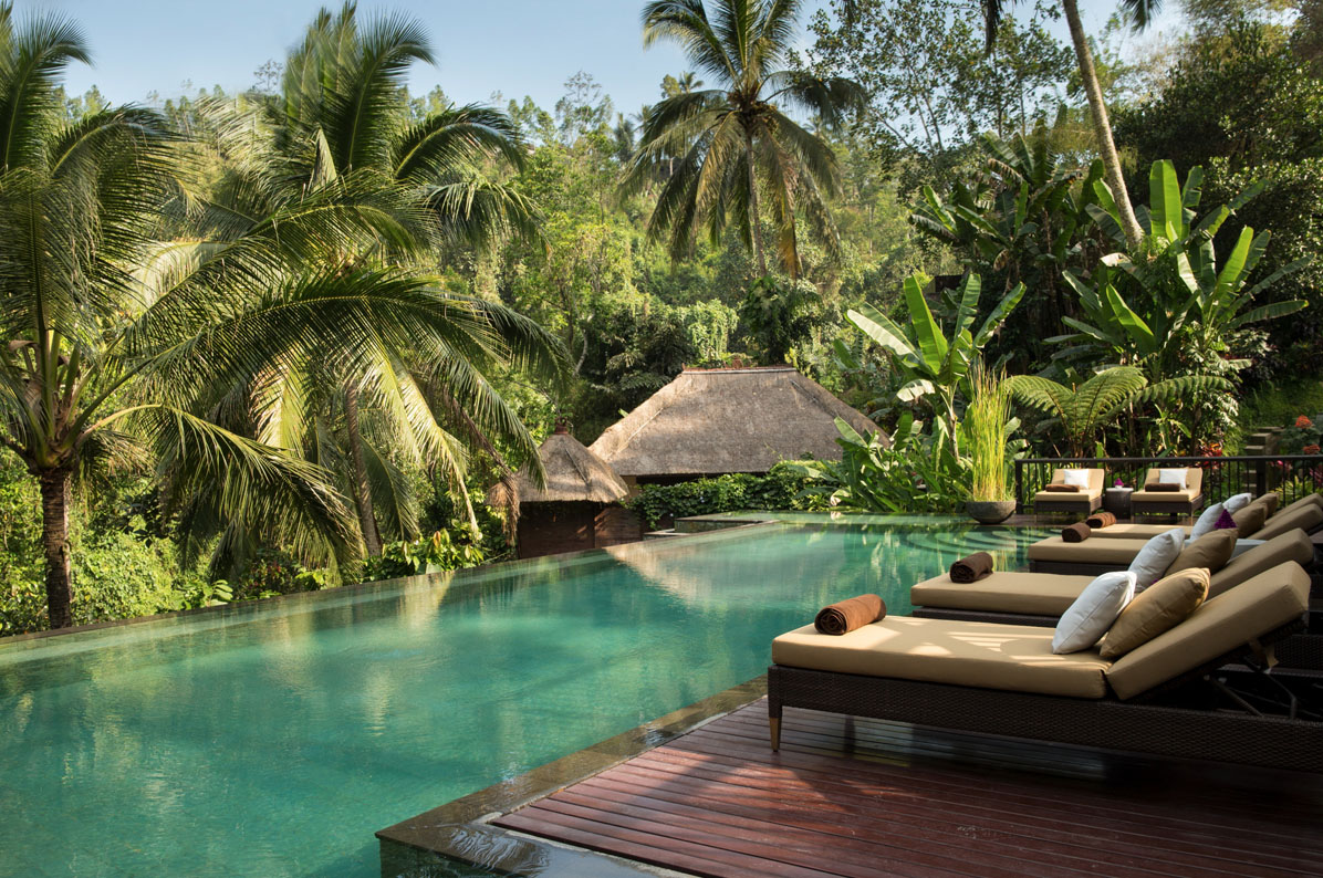Relax and recharge by the pool surrounded by jungle.