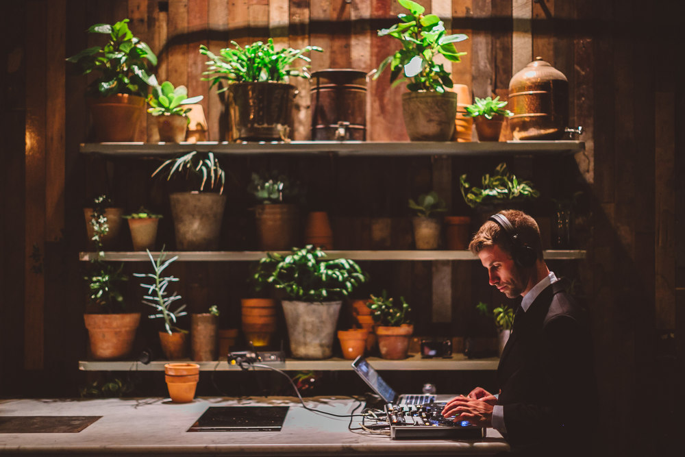 Potted plants displayed on the wall.