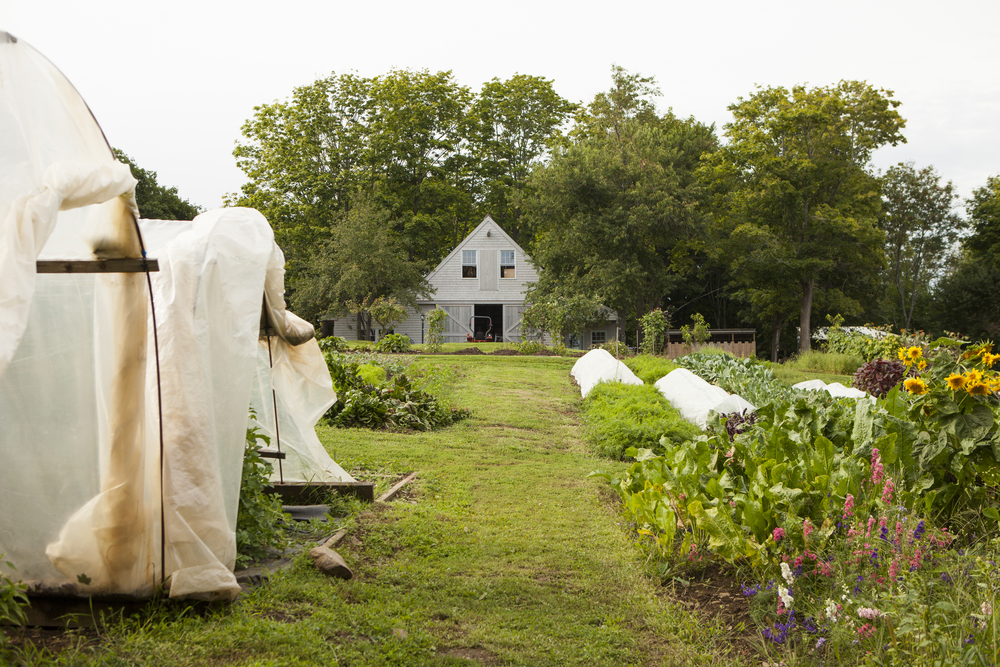By not using chemicals and pesticides, our flowers and produce are helping to maintain rich soil without depletion and degrade for generations to come.