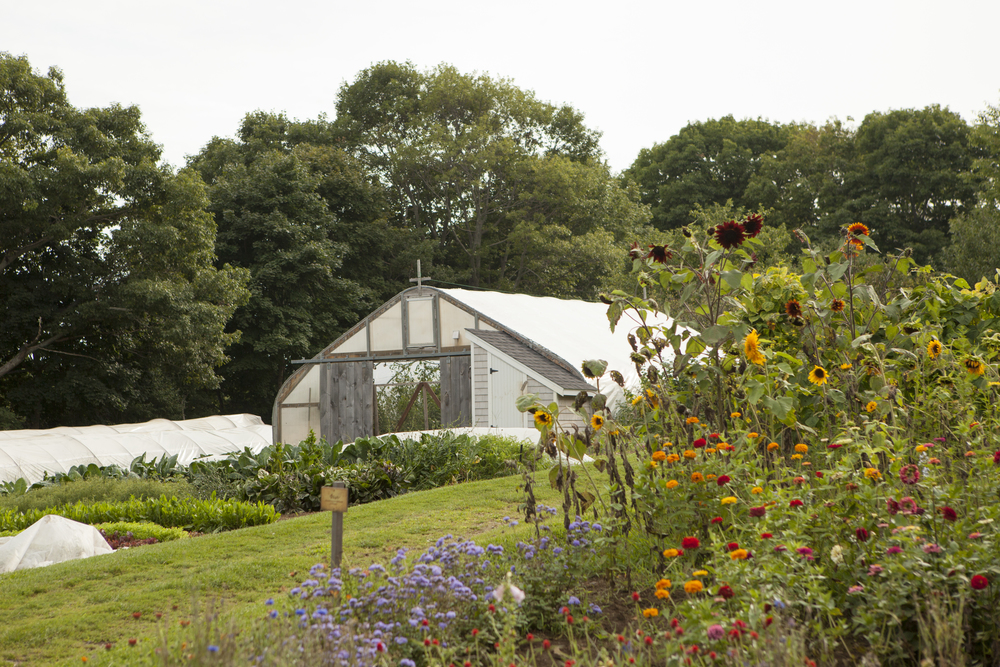 The experience at Primo allows its guests to dine on food just a few feet from where they grew using traditional cooking techniques, with an emphasis on freshness, seasonality and a menu that accommodates what is coming out of the garden on a daily basis.