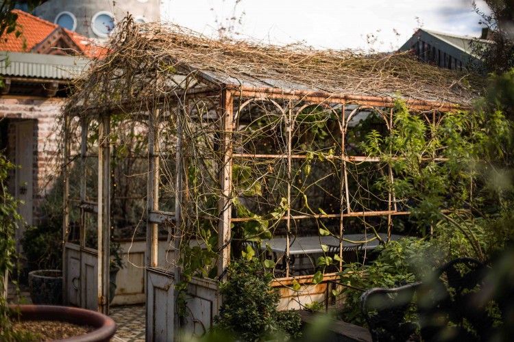Opened in April 2012, the site which spans approximately an acre within the inner west city fringe suburb of Alexandria, hosts a coffee research and education facility, artisan bakery and a permaculture garden of heirloom vegetables, fragrant herbs, fresh
